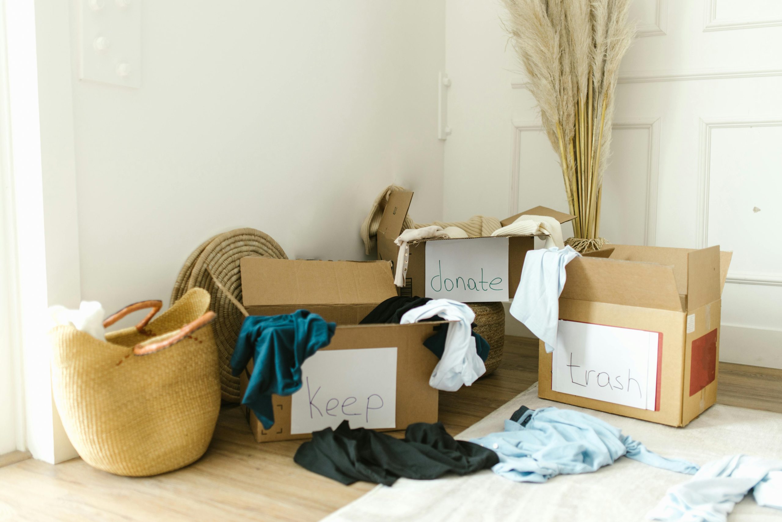 Organize Sua Casa: Guia Rápido de Organização Doméstica